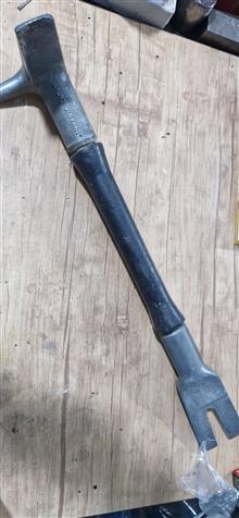 دیلم