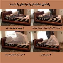 پشه