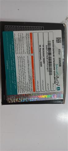 فن