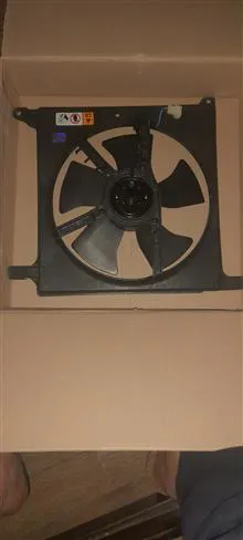 فن