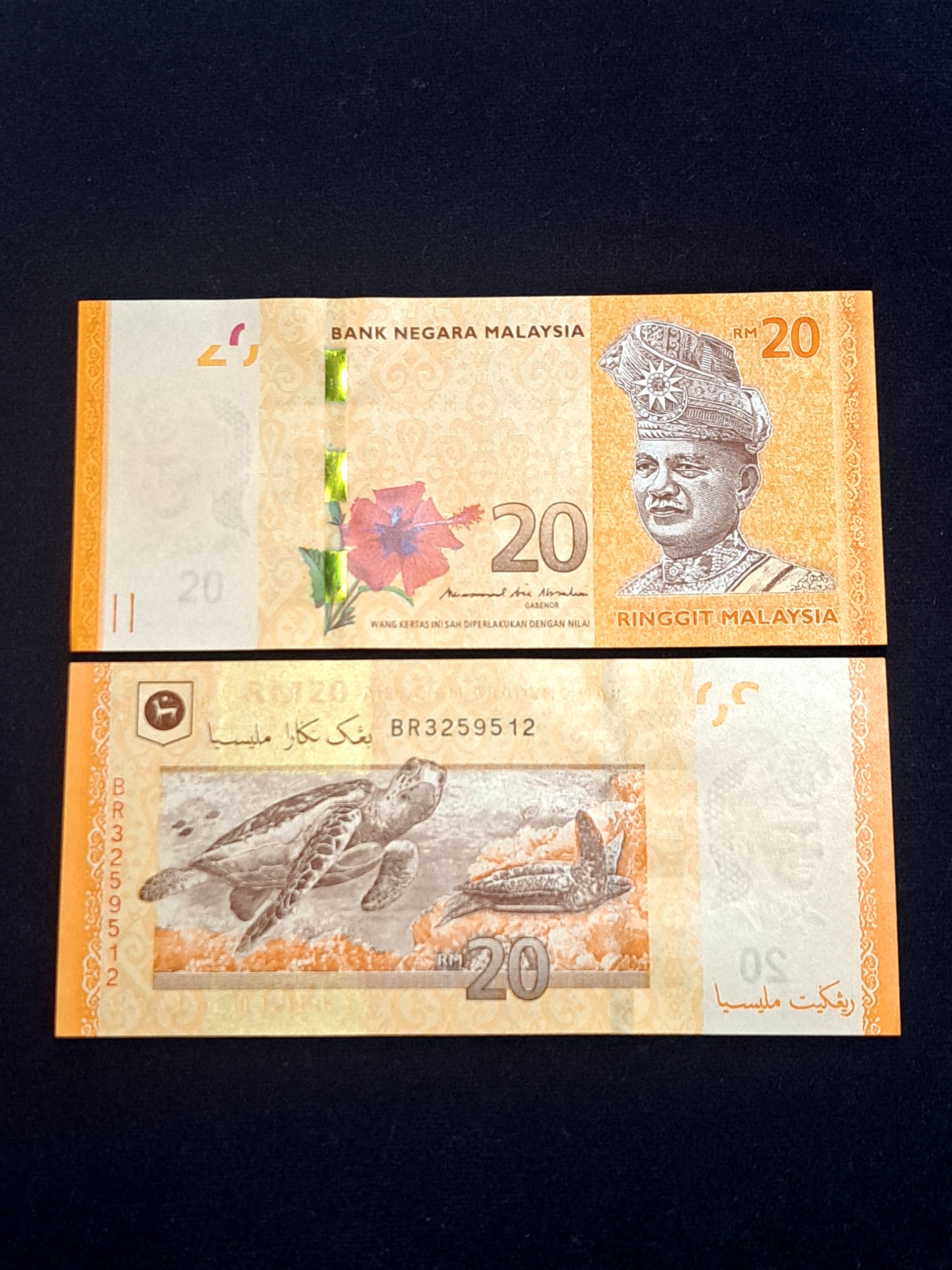 20 رینگ مالزی برای جفت دوعددخرید کنید