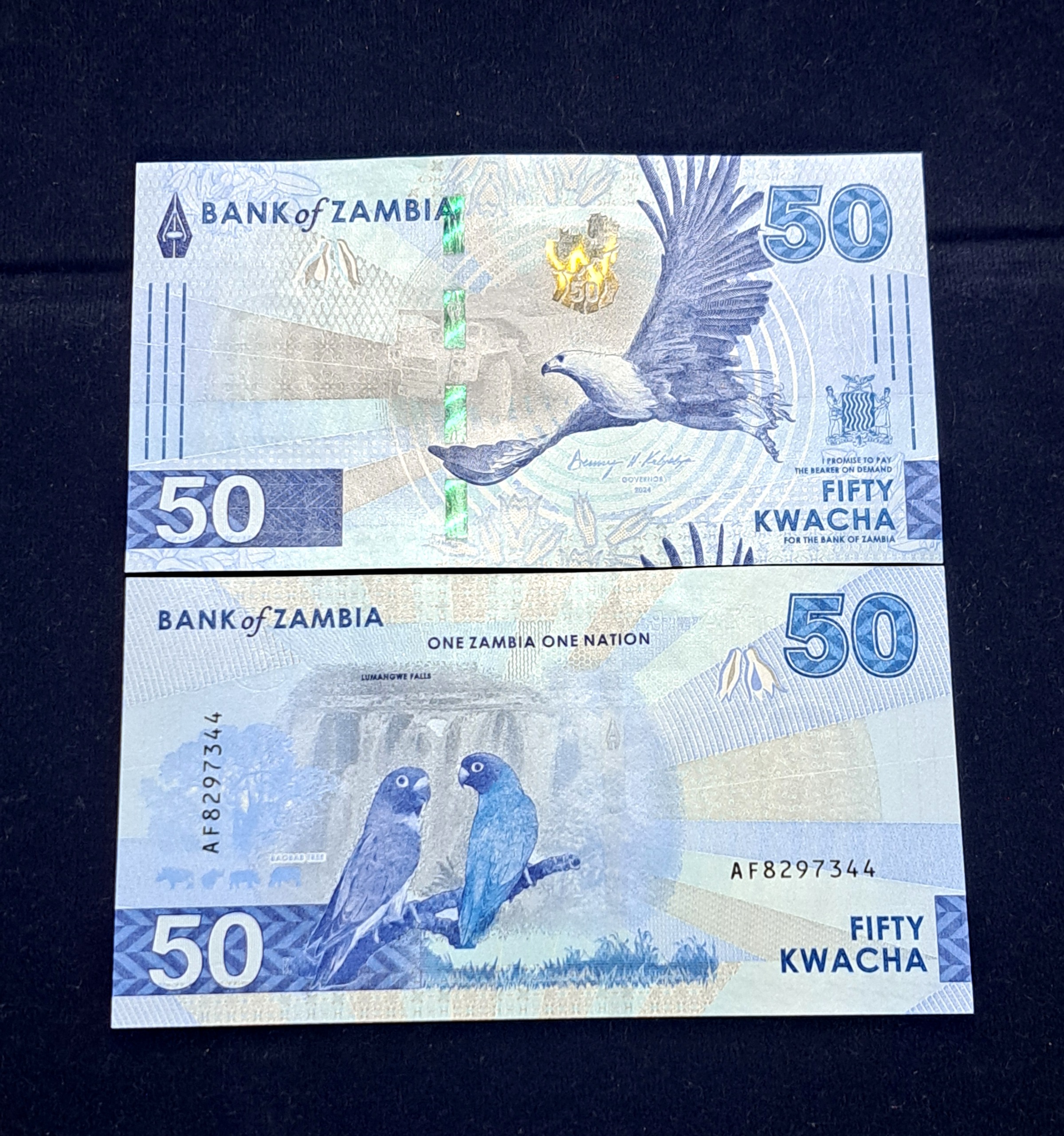 50 کواچا زامبیا