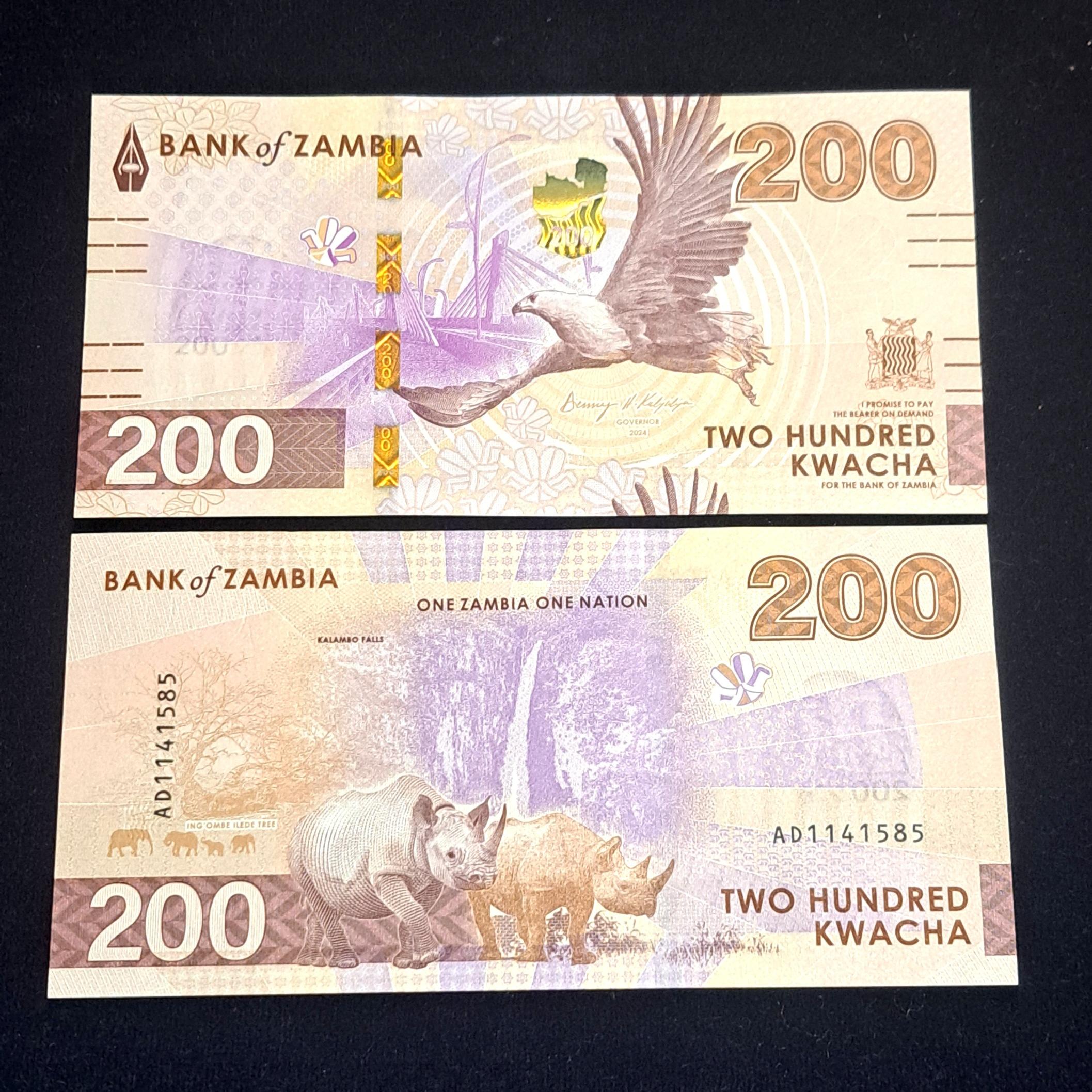 200 کواچا زامبیا زیبا و حرفه ای