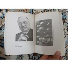 فروید،