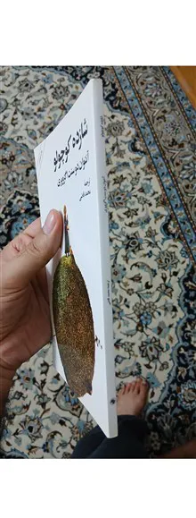 شازده