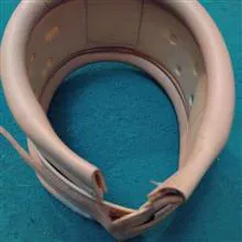 گردن