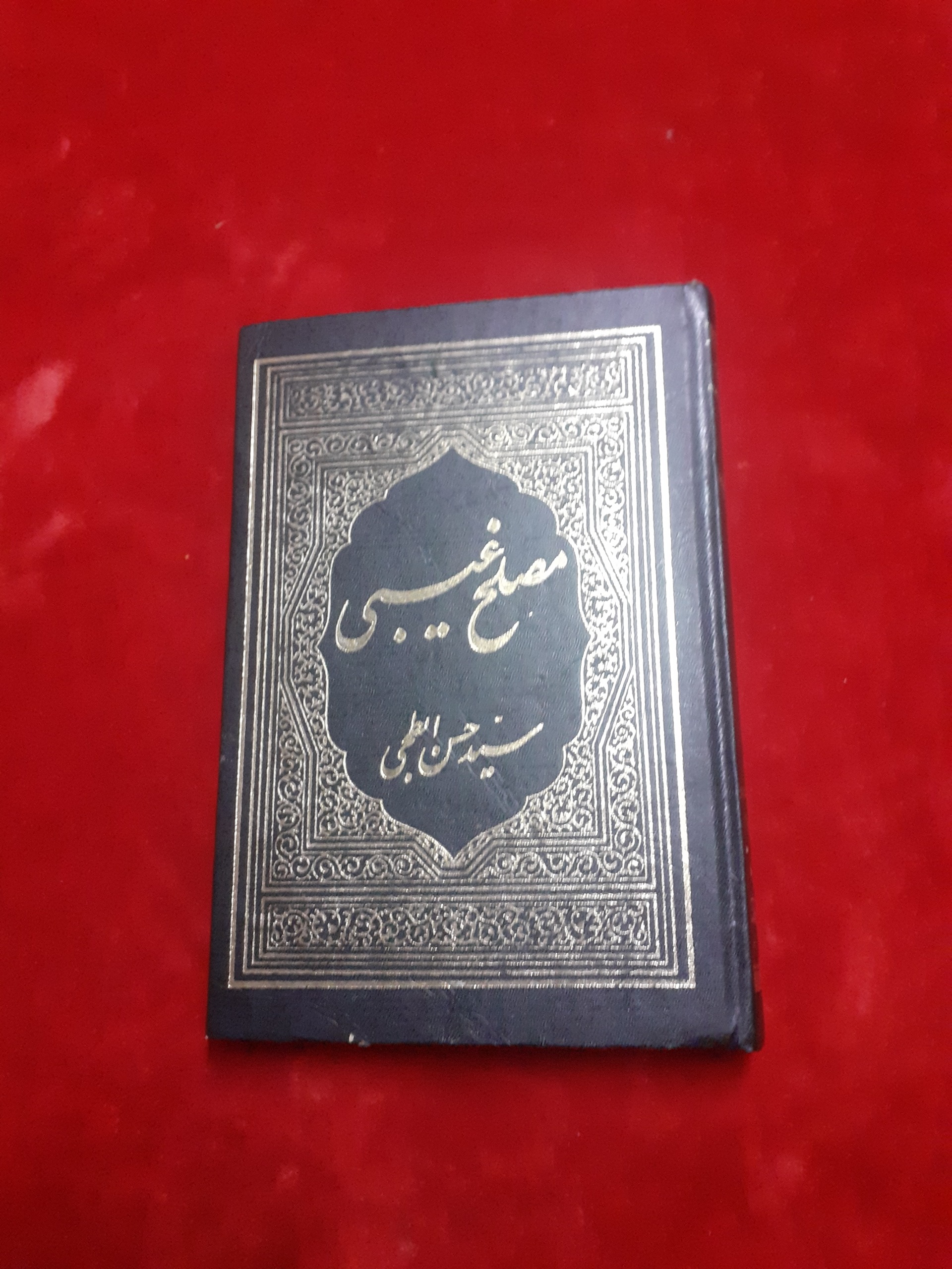 مصلح غیبی سید حسن ابطحی