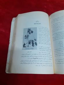 گلها