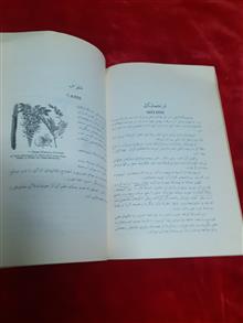 گلها