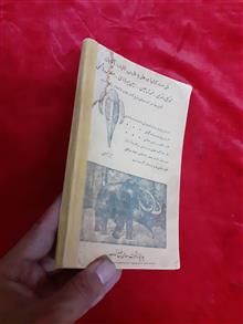 تکامل