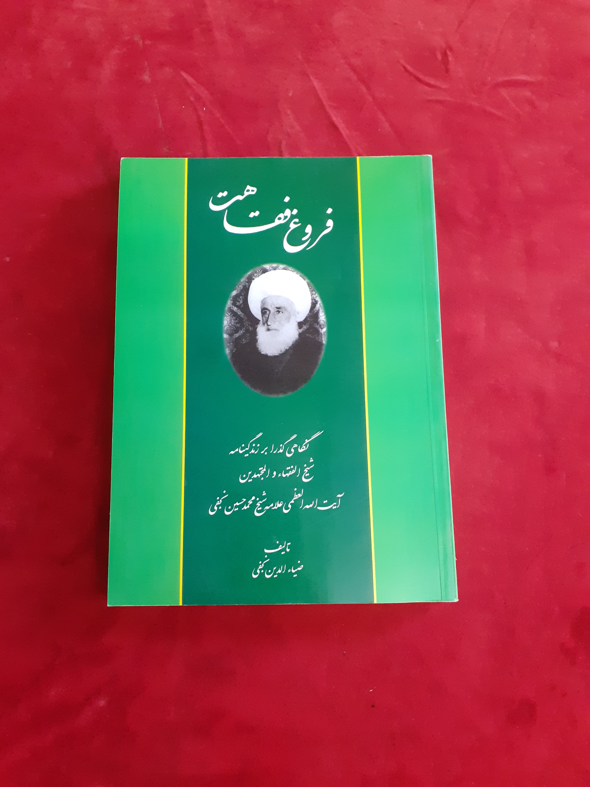 فروغ فقاهت زندگی نامه آیت الله محمد حسین نجفی
