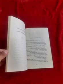 کاندید