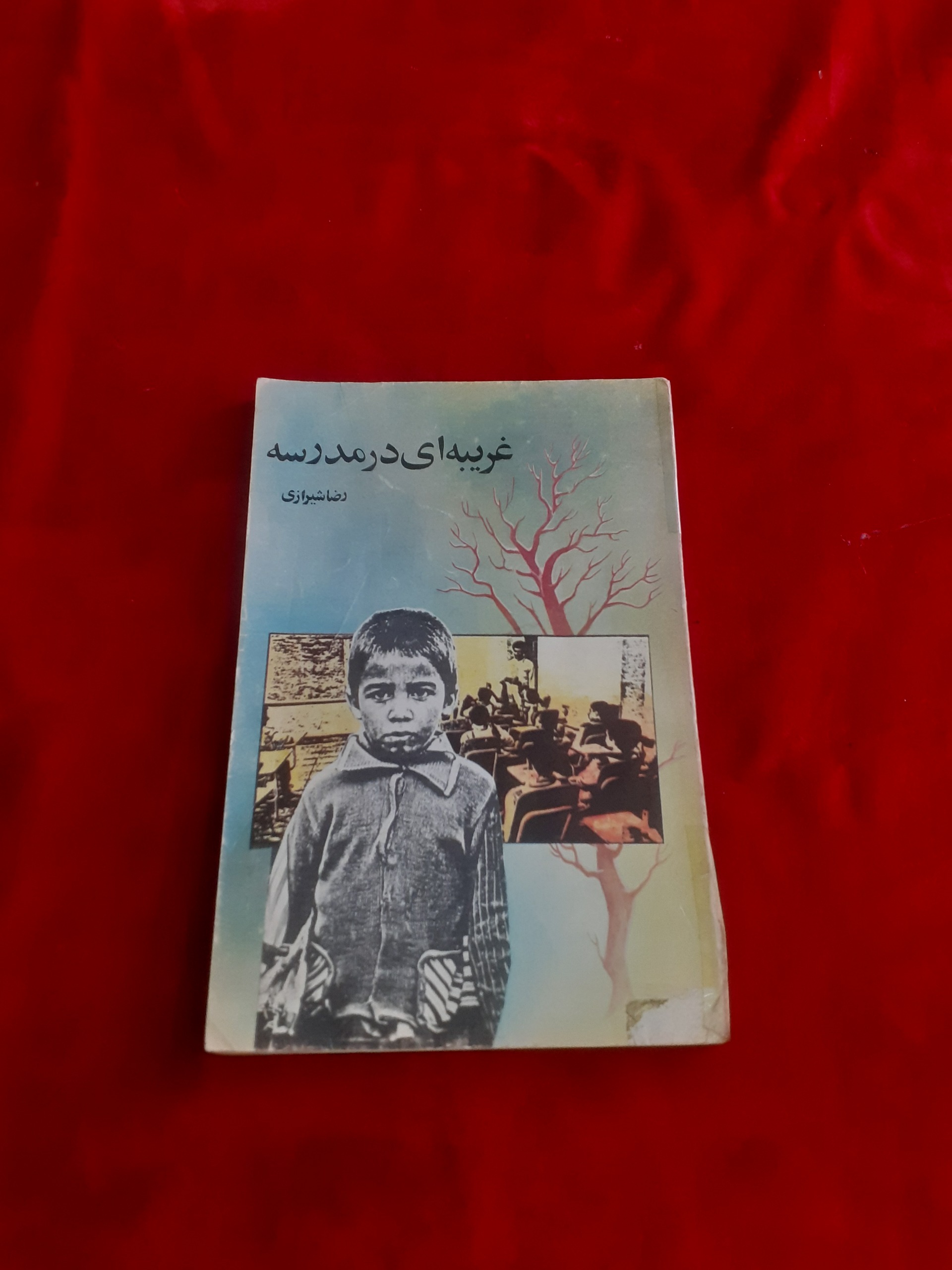 غریبه ای در شهر رضا شیرازی