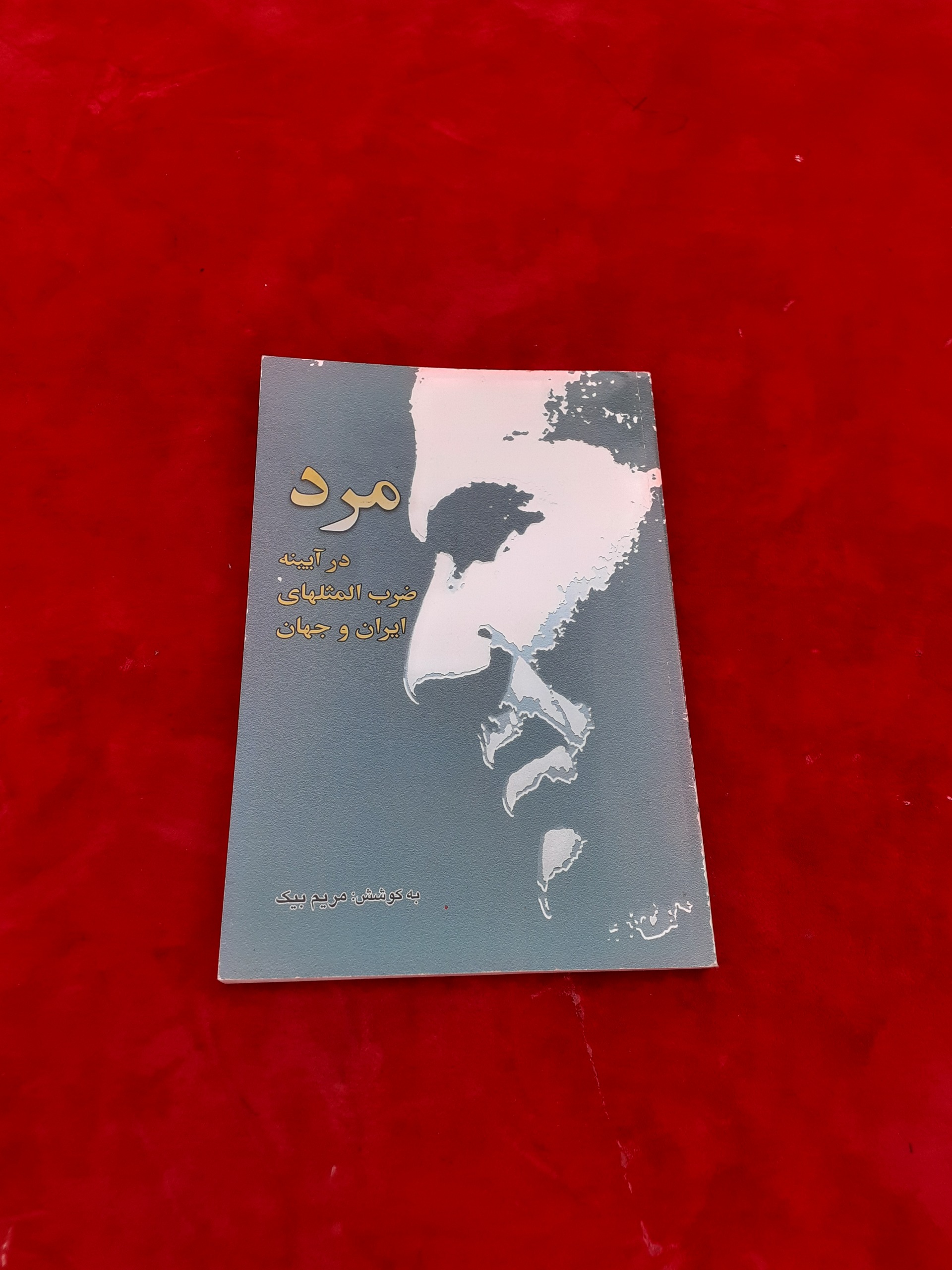 مرد در آیینه ضرب المثلهای ایران و جهان مریم بیک