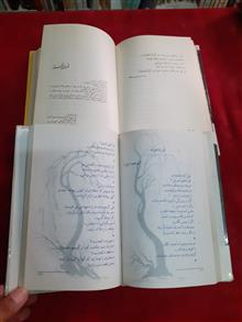 مهدی