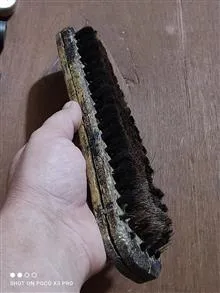 برس