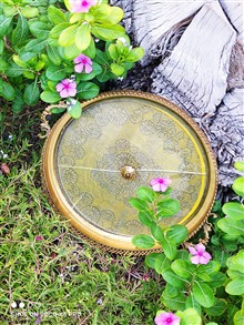 سینی