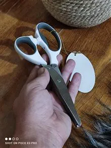 قیچی