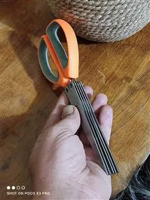 قیچی