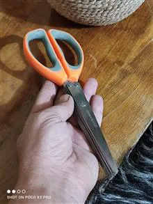 قیچی