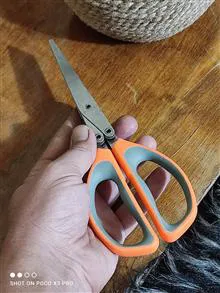 قیچی