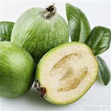 Feijoa