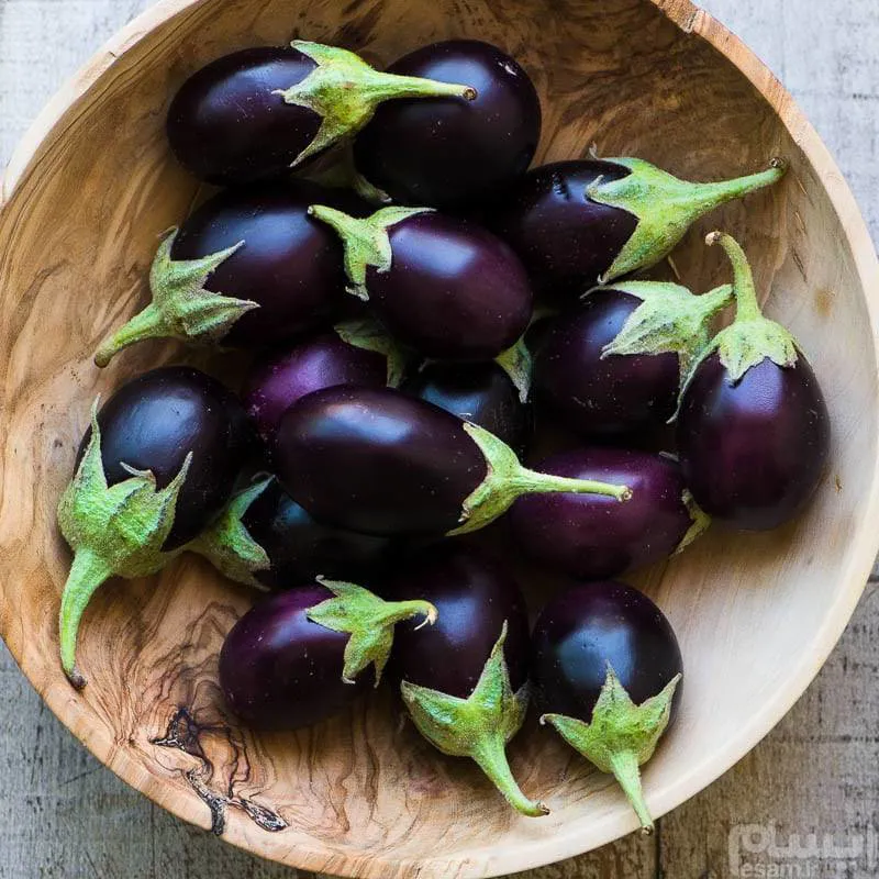 baby ggplant  بذر بیبی بادمجان ایتالیایی