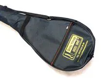 کیس
