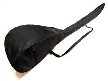 کیس