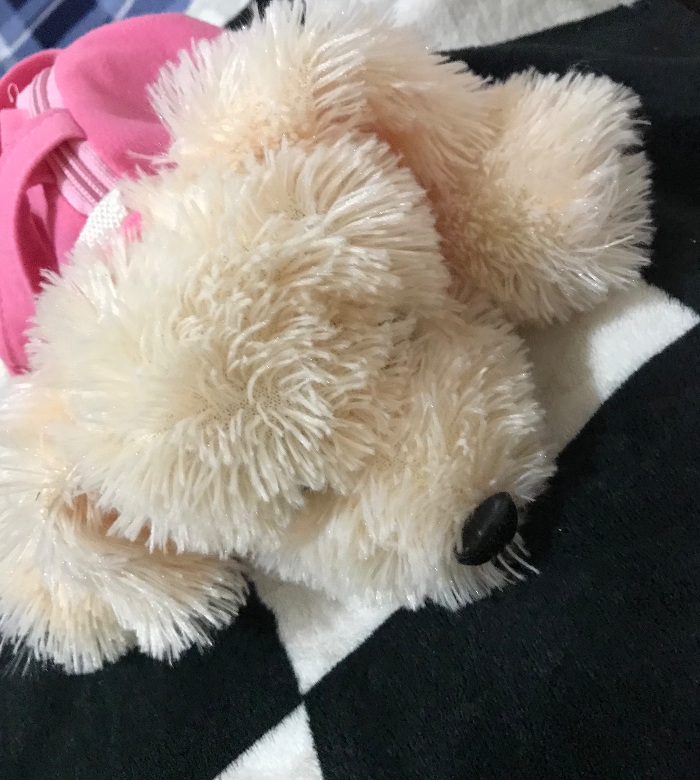 کیف عروسکی خارجی خاص