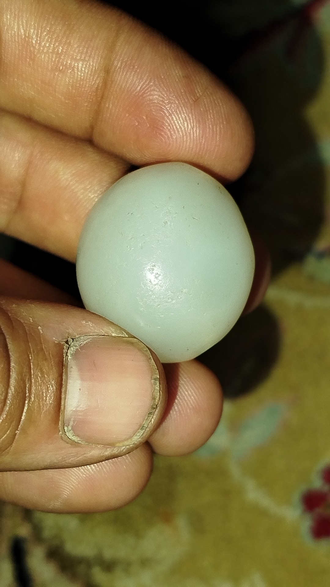 مهره جز قدیمی