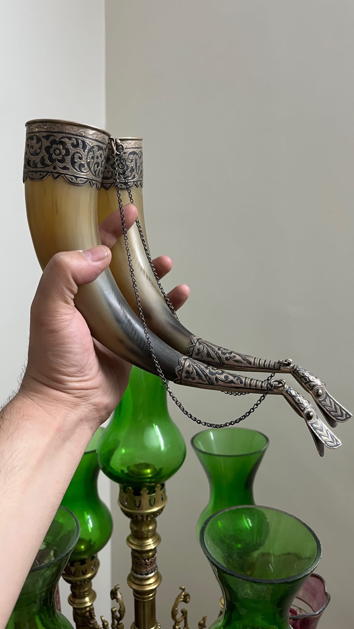 شاخ جام وایکینگی