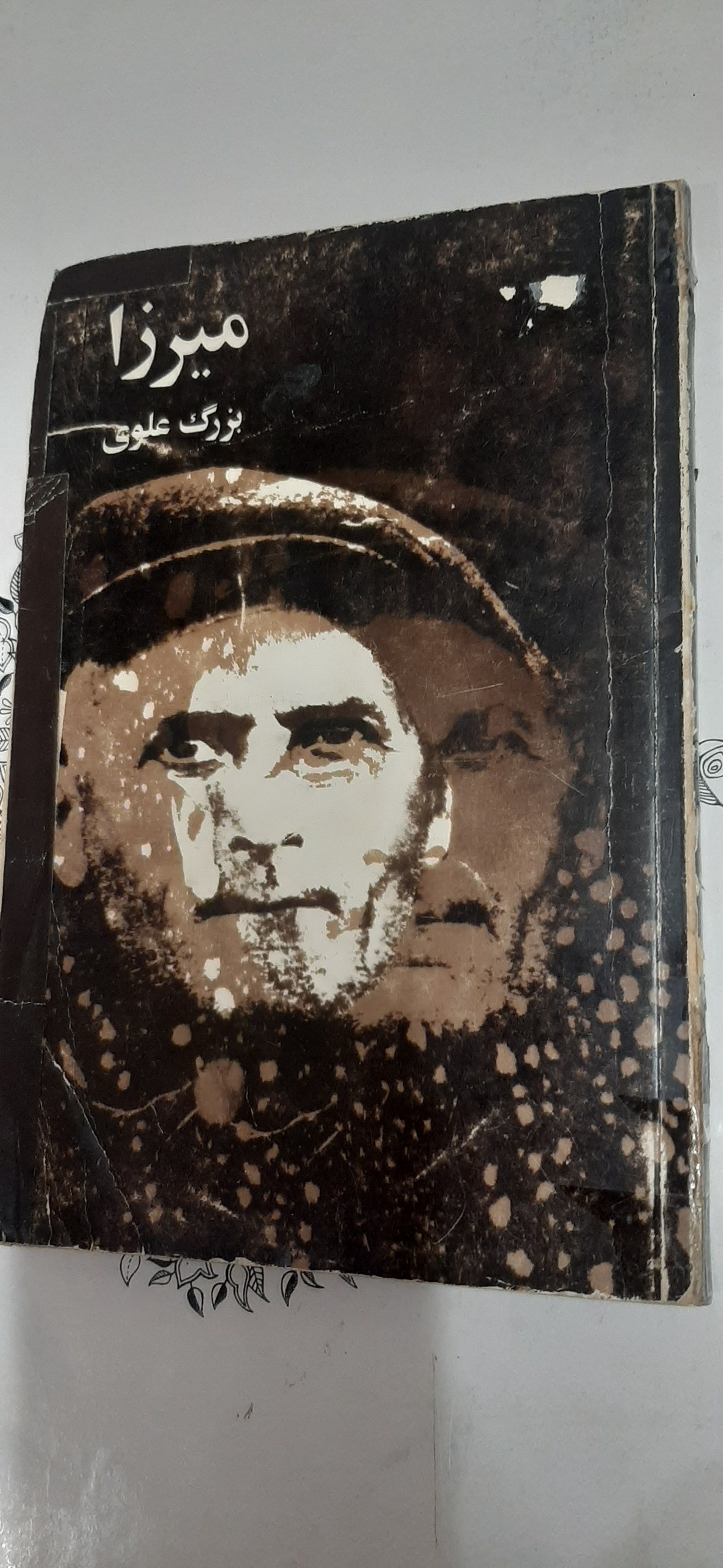 میرزا بزرگ علوی