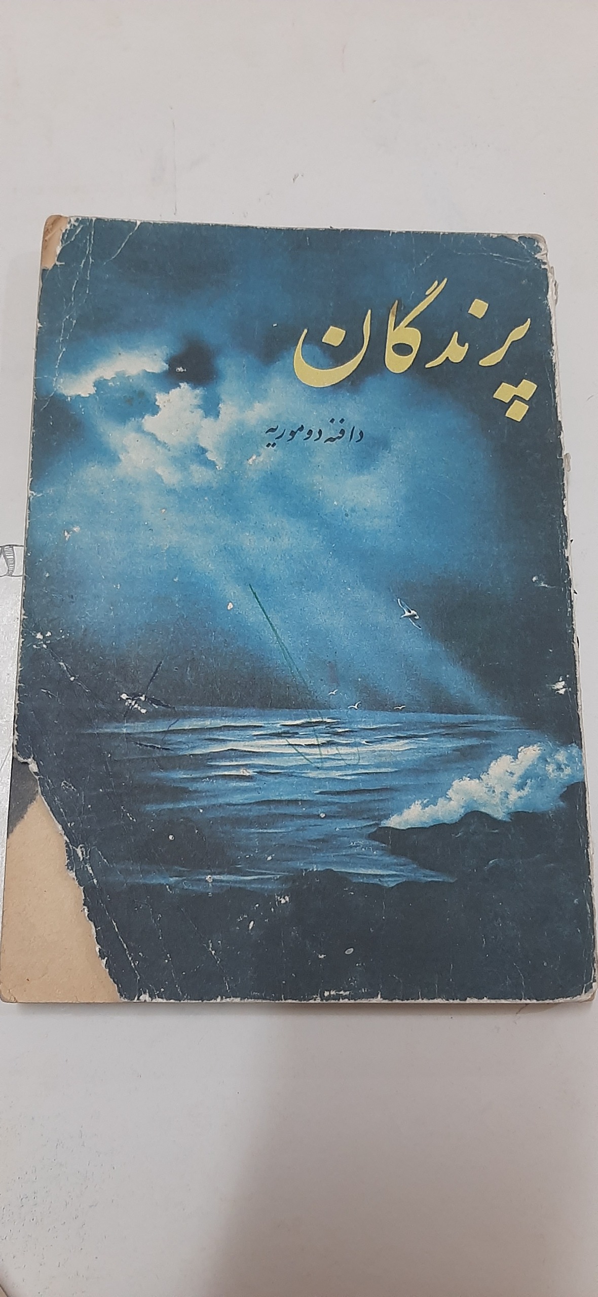 پرندگان دافنه دوموریه