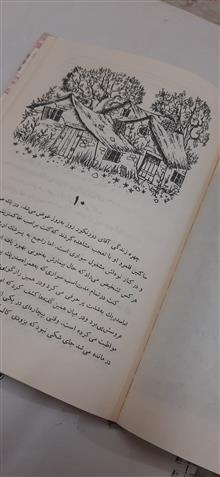نجیب
