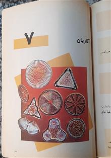 علوم