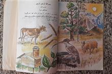 تعلیمات