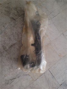 خرطومی