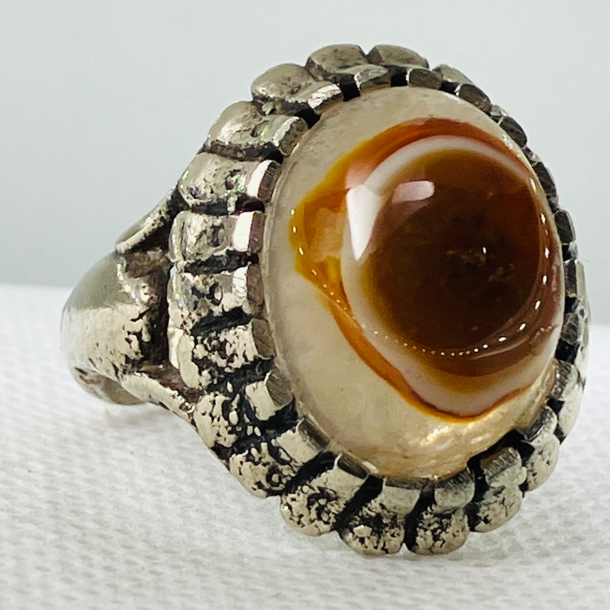 انگشتر باباقوری زایشی لامه چندچشم سرخ جهنمی