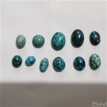 11عدد