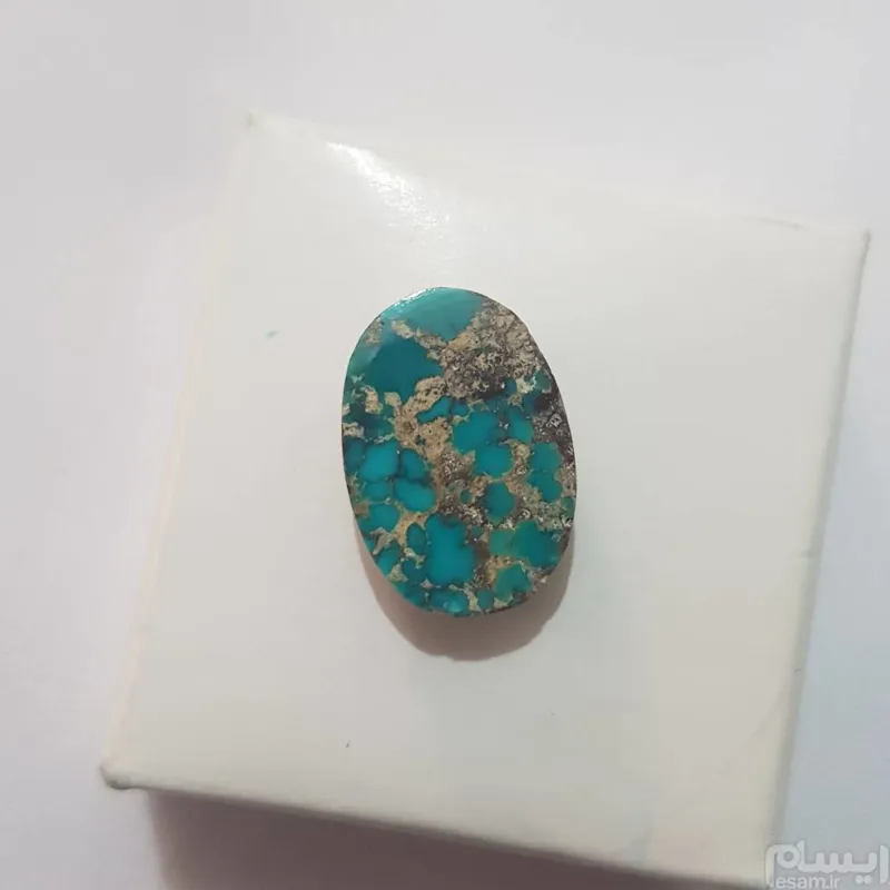 فیروزه شجر نیشابور