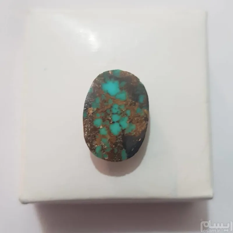 فیروزه شجر طبیعی نیشابور