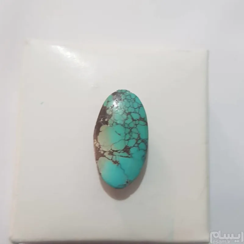 فیروزه شجر نیشابوری