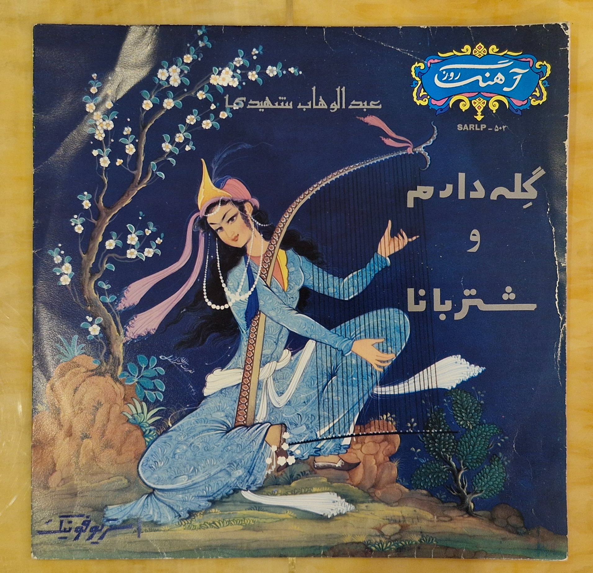 صفحه گرام 33 دور عبد الوهاب شهیدی