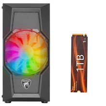 کیس