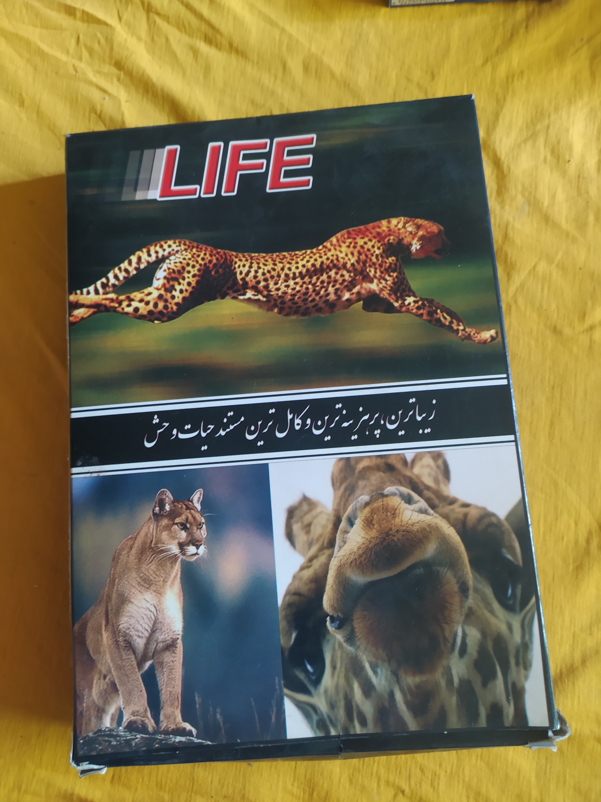 4 دی وی دی مستند حیات وحش