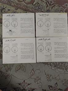 الگوی