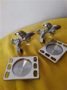 هولدر