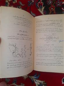 فیزیولوژی