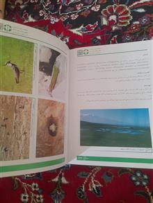 اطلس